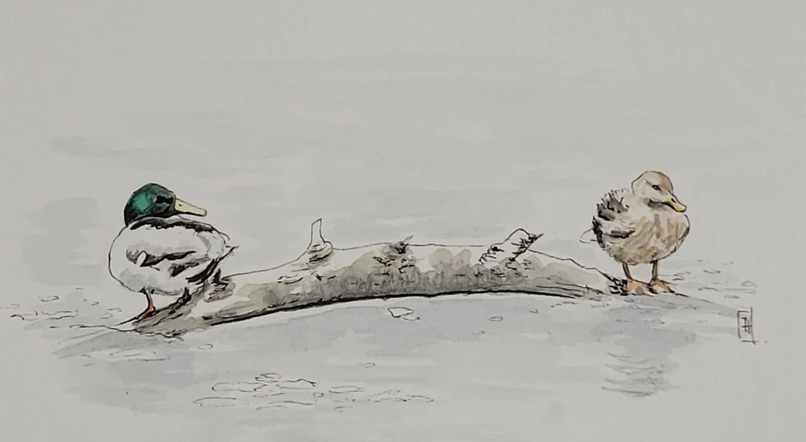 Aquarelle originale — Canards, couple de canards colvert — Format carte postale 10x15 cm — vue 2