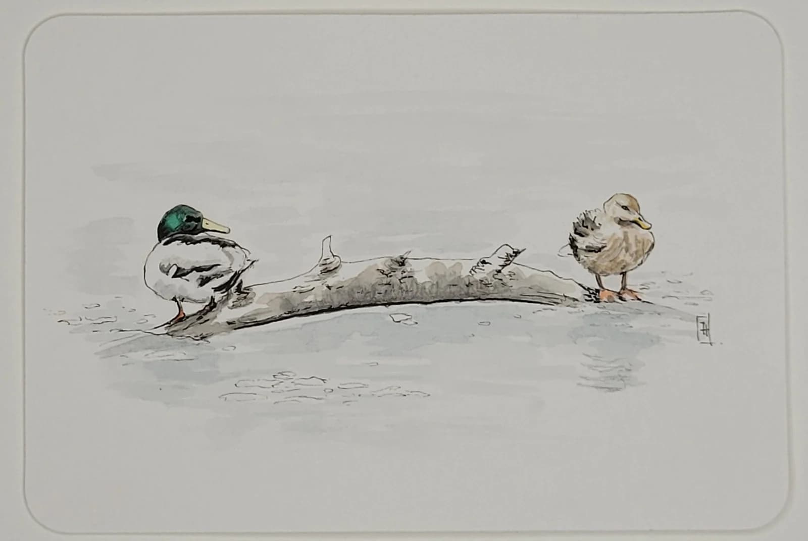 Aquarelle originale — Canards, couple de canards colvert — Format carte postale 10x15 cm — vue 1