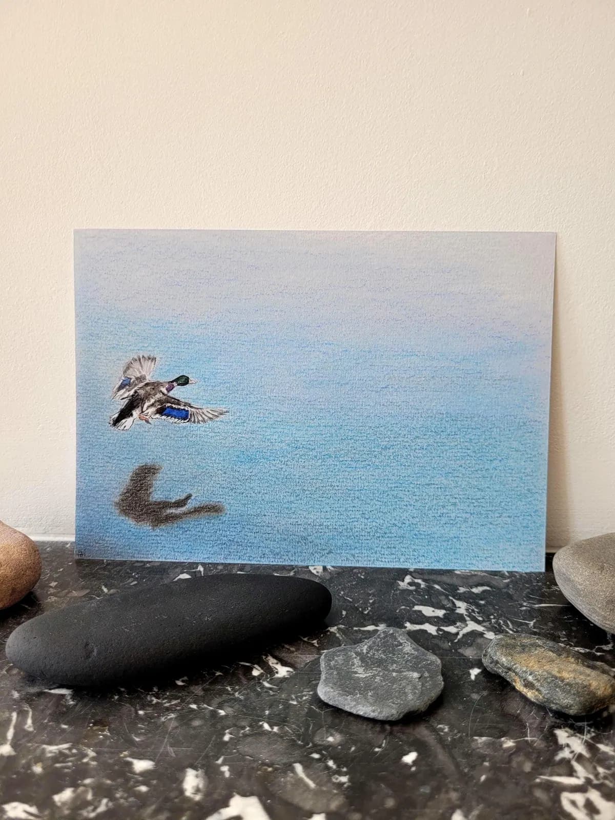Dessin original — oiseau, canard colvert en vol, lac d'Auron, Bourges — Aquarelle et crayon — A5 — vue 1