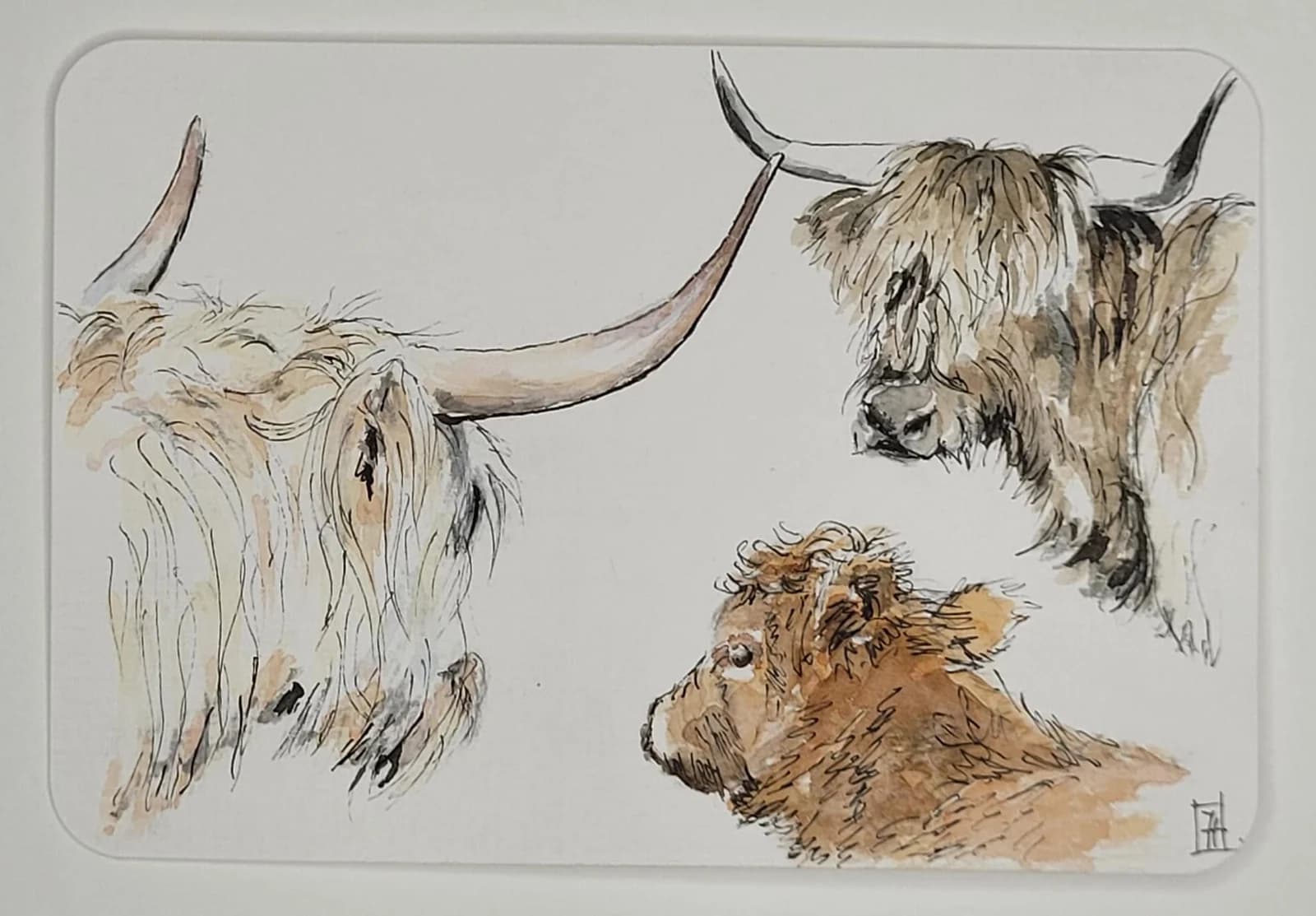Aquarelle originale — Highland Cows, Vaches écossaises, Île de Skye, animal d' Écosse — Format carte postale 10x15 cm — vue 1