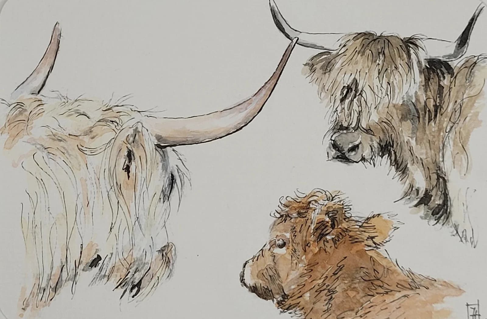 Aquarelle originale — Highland Cows, Vaches écossaises, Île de Skye, animal d' Écosse — Format carte postale 10x15 cm — vue 2