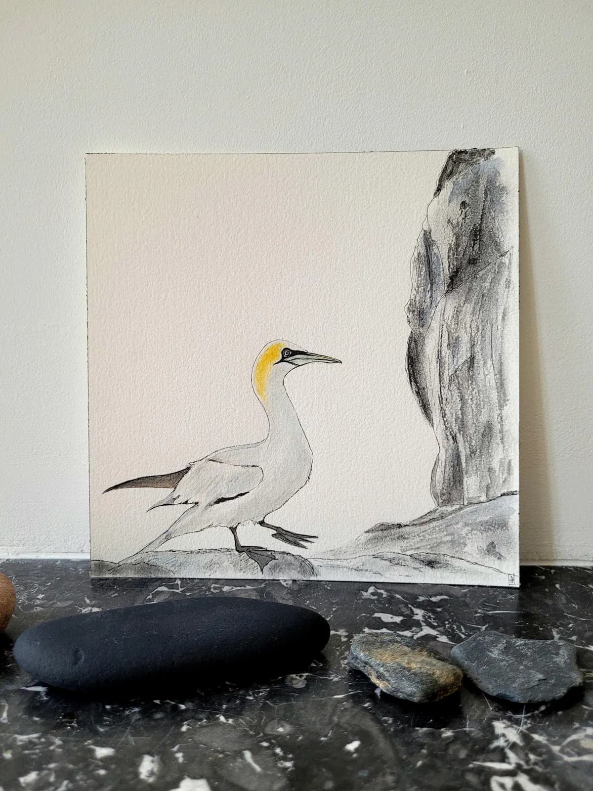 Aquarelle originale — Oiseau marin, Fou de Bassan, réserve naturelle des sept îles, Bretagne — Format carré 20x20cm — vue 1