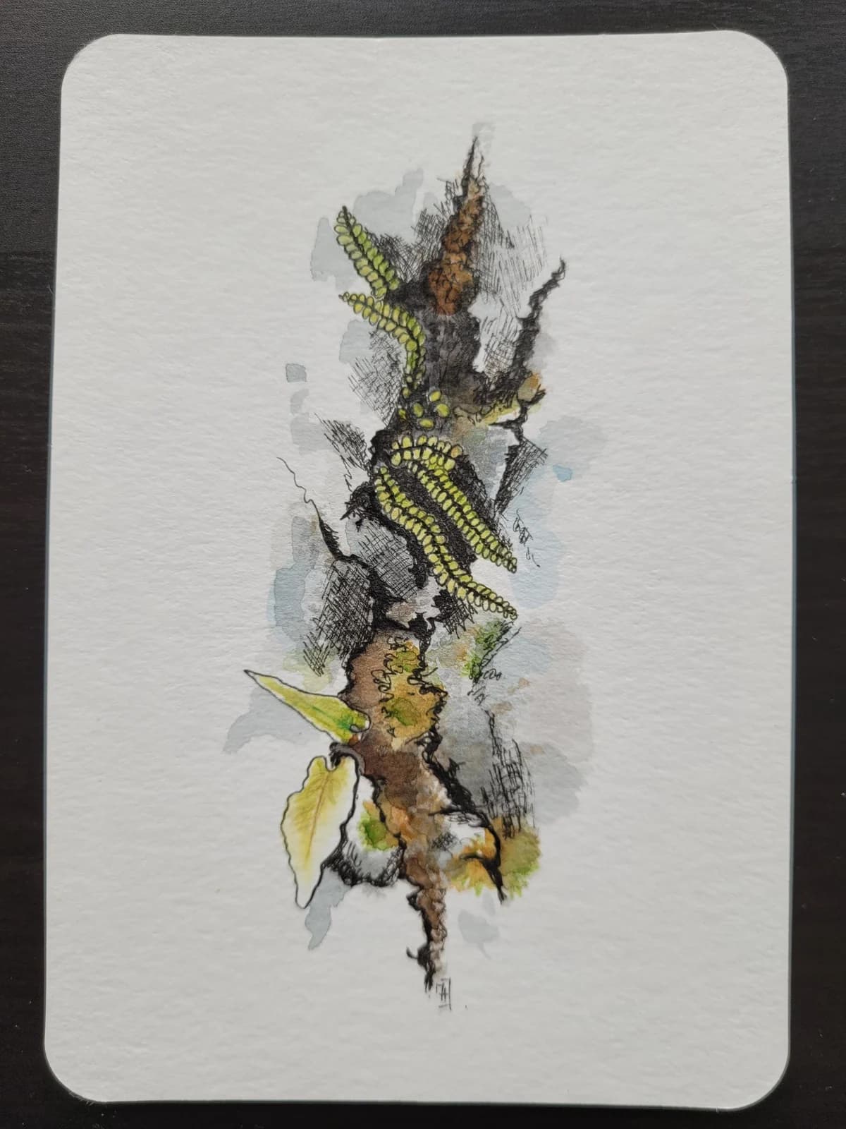 Aquarelle originale — Plantes, roches et fissures, Burren, Co. Clare, Irlande — Format carte postale — vue 2
