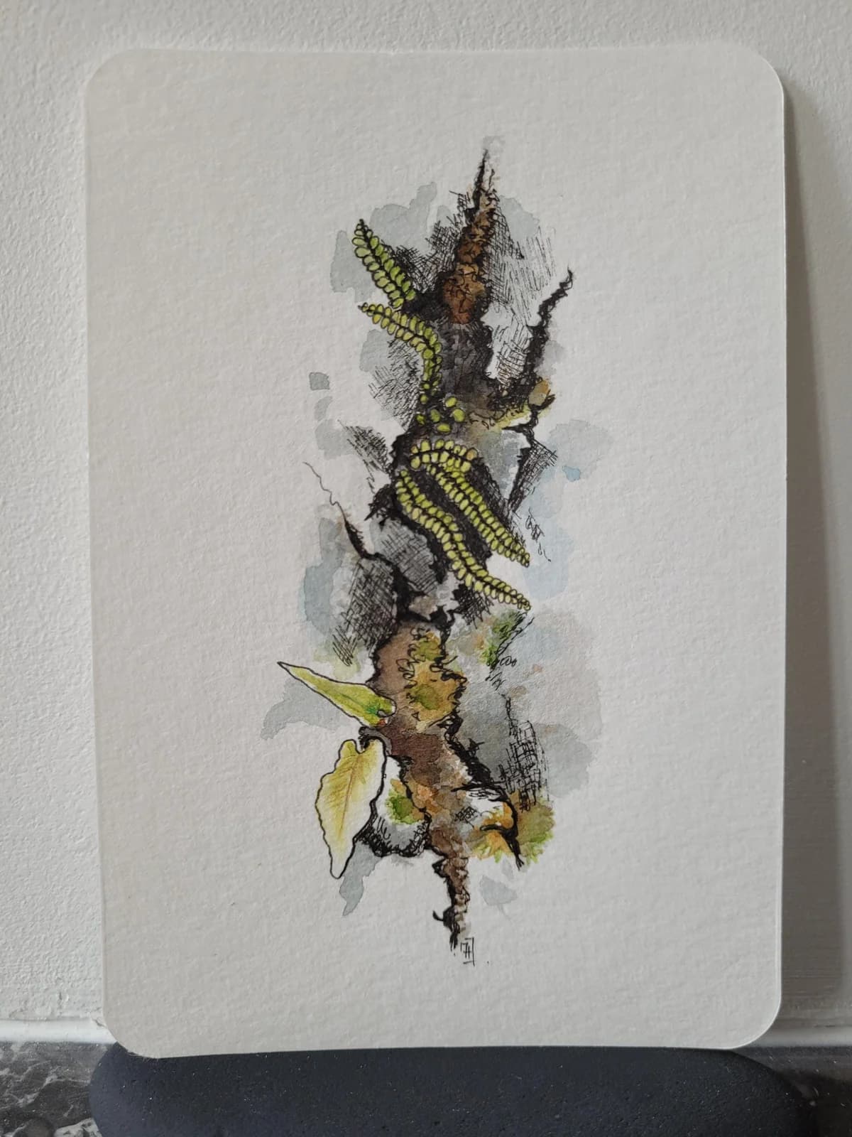 Aquarelle originale — Plantes, roches et fissures, Burren, Co. Clare, Irlande — Format carte postale — vue 1