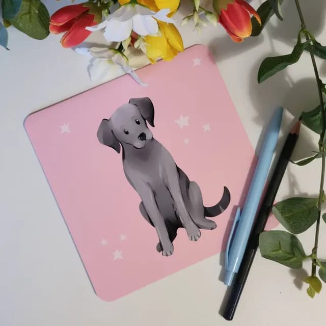 Carte carrée rose aux coins arrondis illustrée d'un labrador gris assis avec de petites étoiles blanches.