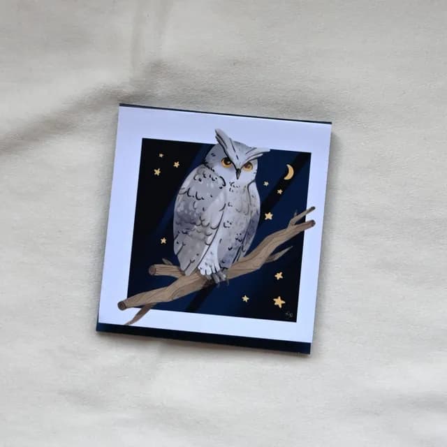 Bloc-notes carré avec couverture illustrée d'un hibou perché sur une branche sous un ciel de nuit étoilé.