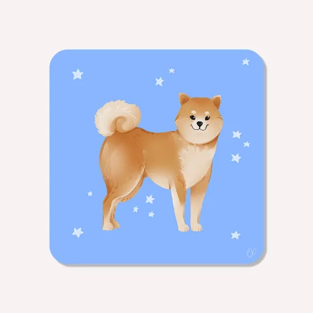 Illustration d'un chien shiba inu roux sur un fond bleu parsemé de petites étoiles blanches