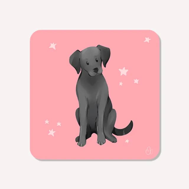 Illustration d'un labrador noir assis entouré de petites étoiles blanches sur fond rose carré.