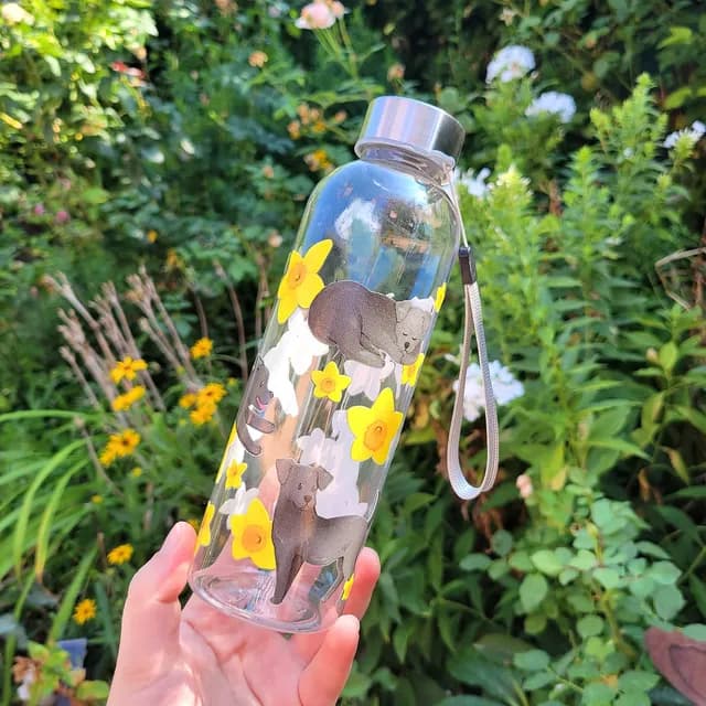 Gourde transparente tenue en main avec illustrations de labradors noirs et fleurs jaunes en extérieur.