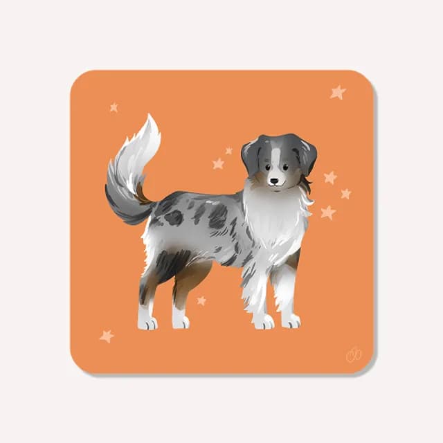 Illustration carrée d'un chien berger australien sur fond orange parsemé d'étoiles.