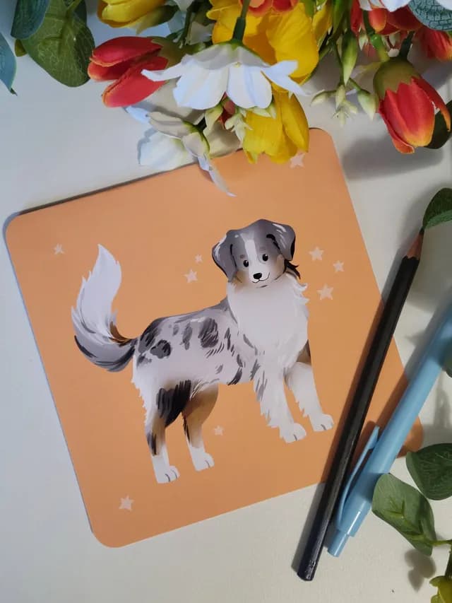 Carte postale double berger autralien - photo 1