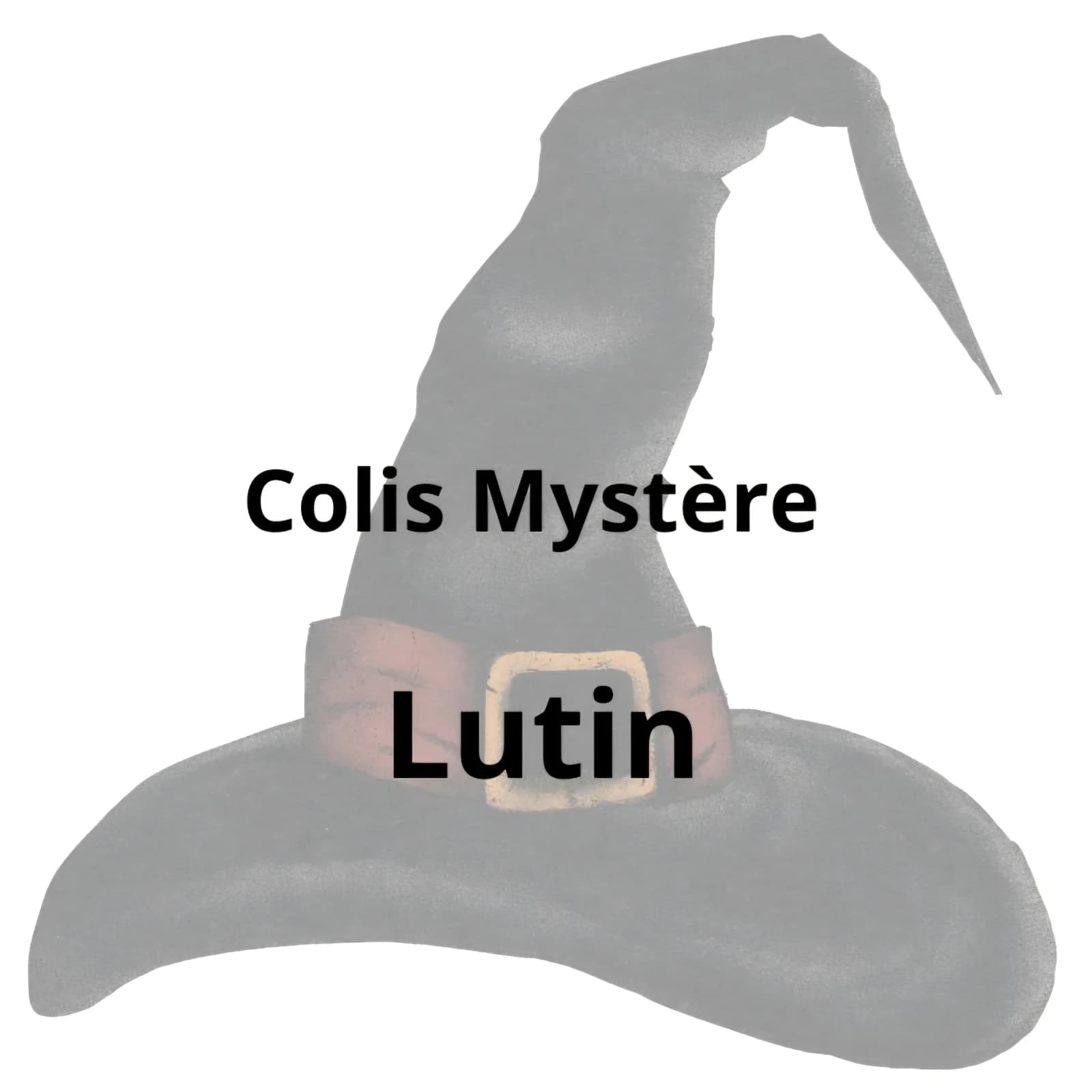 Colis Mystère Lutin