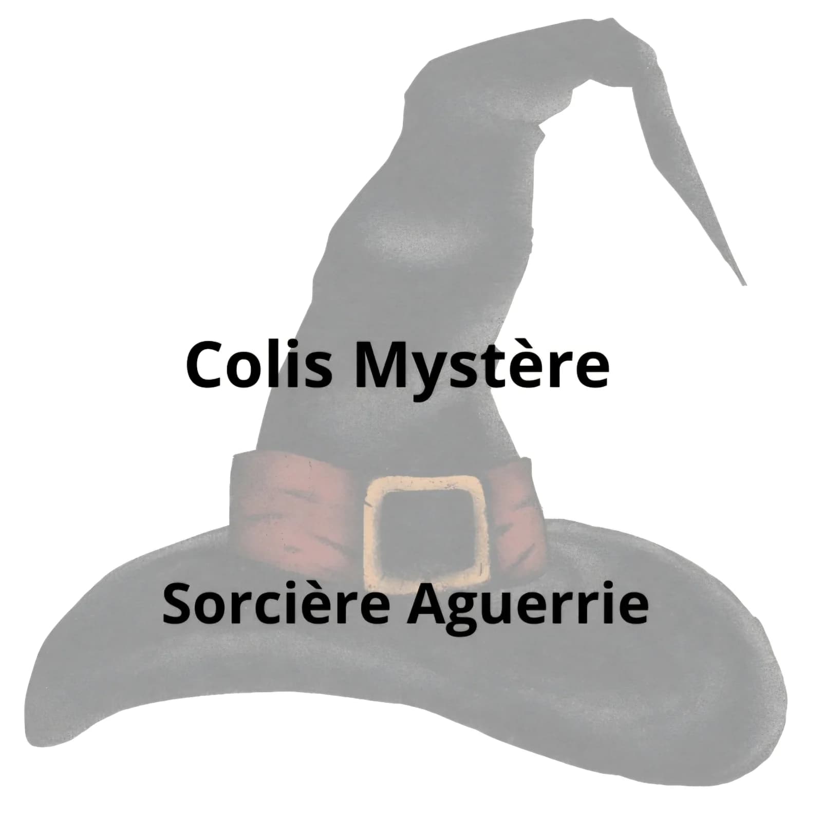 Colis Mystère Sorcière Aguerrie