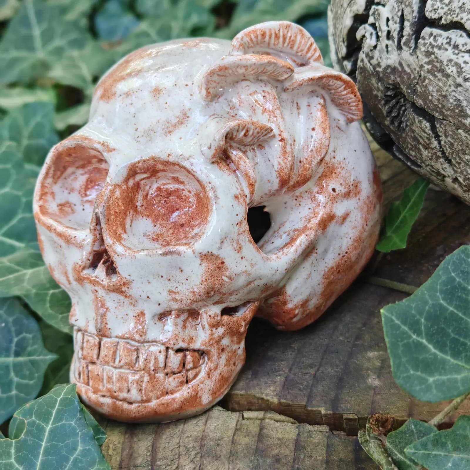 Crâne décoratif en céramique aux champignons