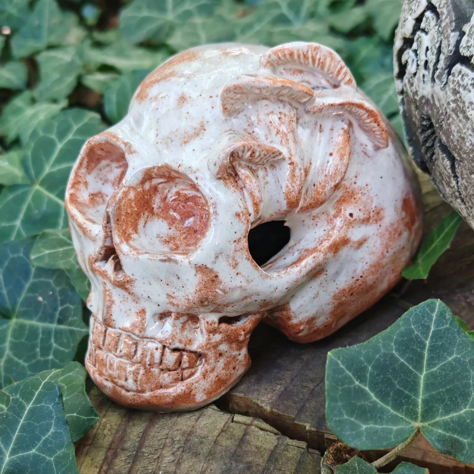 Crâne décoratif en céramique aux champignons