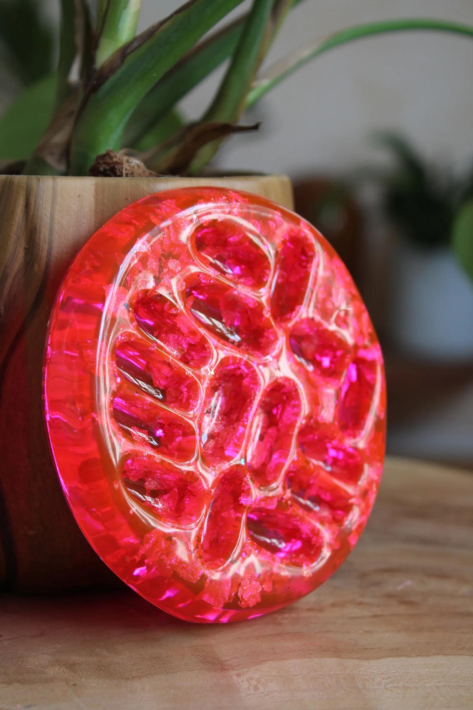 Coupelle ronde en résine rose fuchsia translucide aux motifs alvéolés, posée contre un pot en bois.