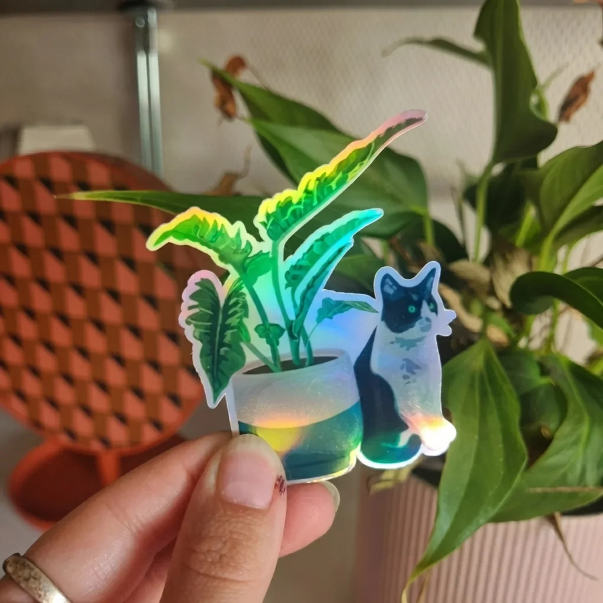 Sticker Chat x Philodendron