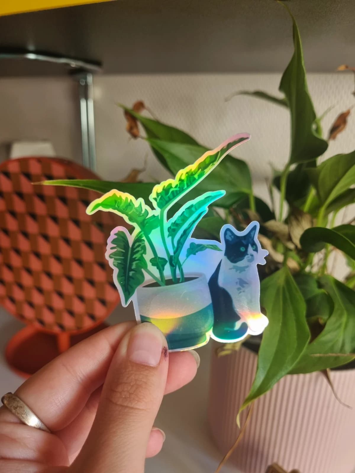 Sticker Chat x Philodendron