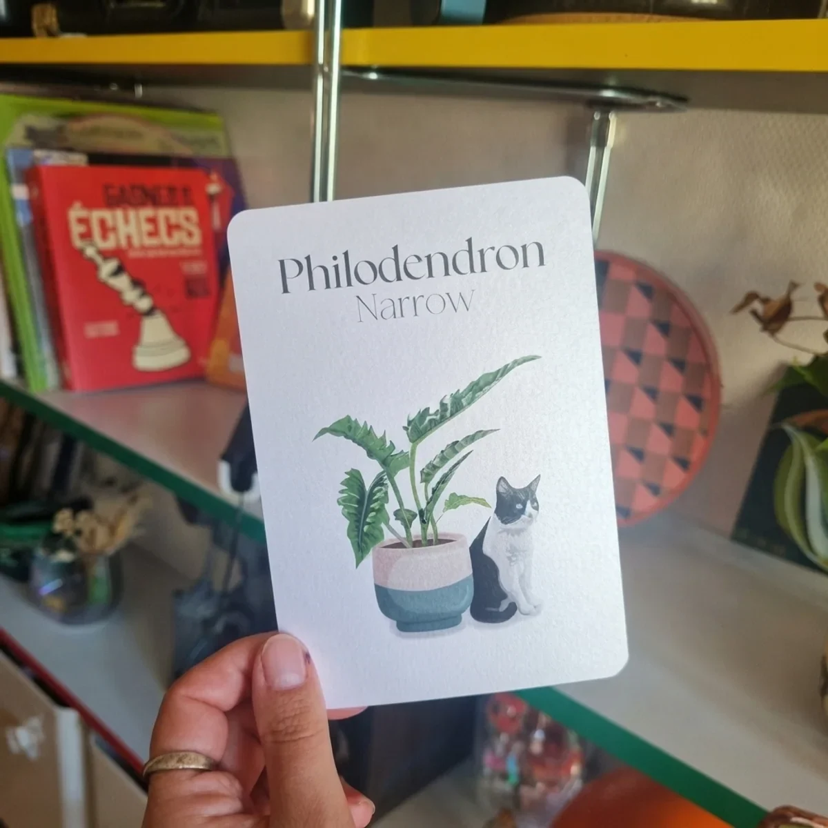 Carte Chat x Philodendron
