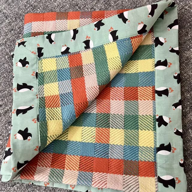 Plaid tissé à carreaux multicolores replié, bordé d'un tissu vert clair aux motifs d'oiseaux marins.