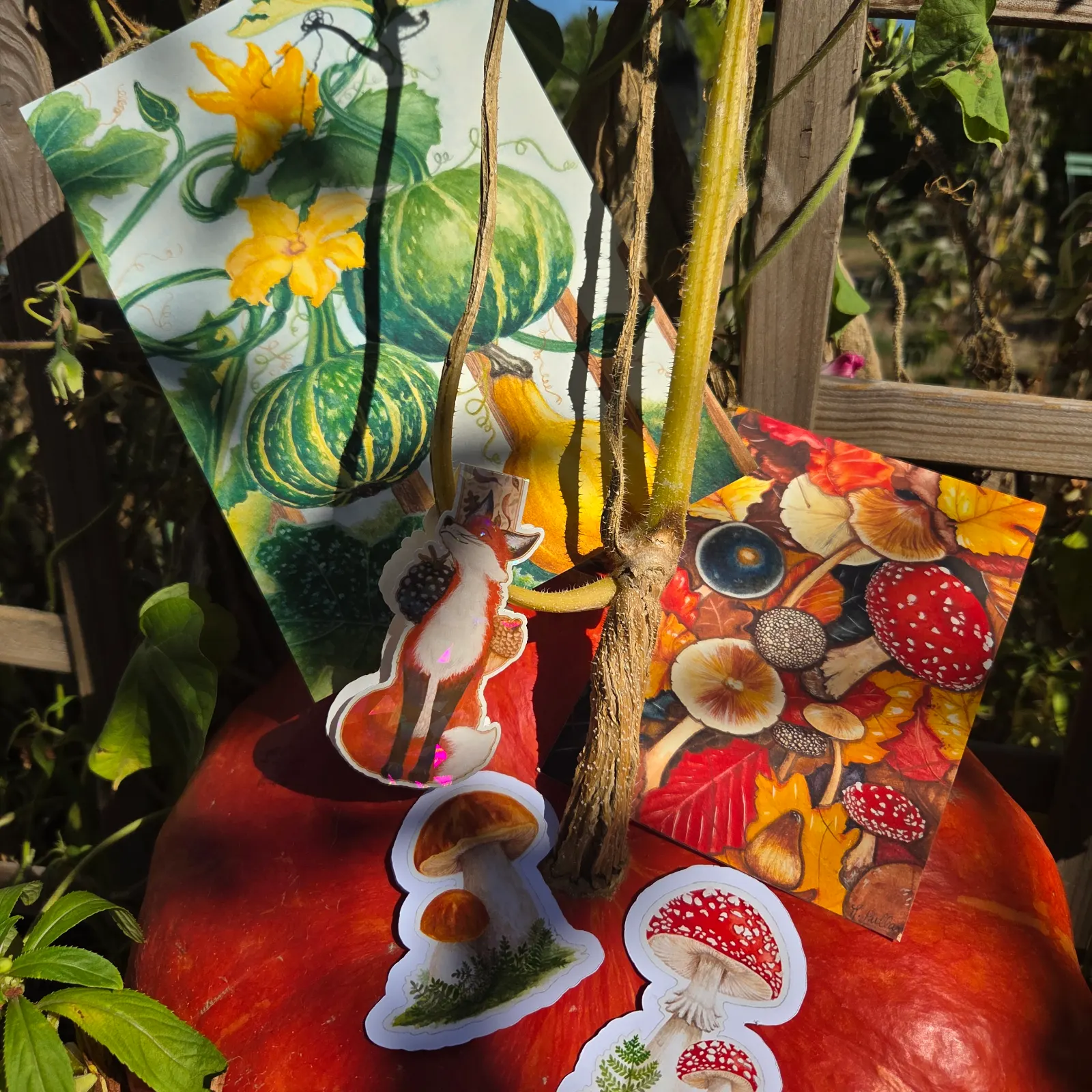 Comfort Cosy print club